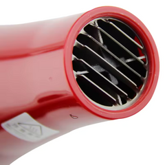 Secador de Pelo Premium 2000 W